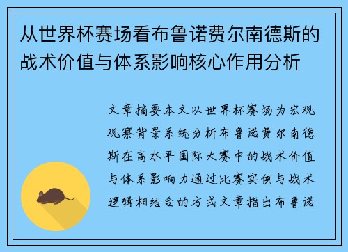 从世界杯赛场看布鲁诺费尔南德斯的战术价值与体系影响核心作用分析